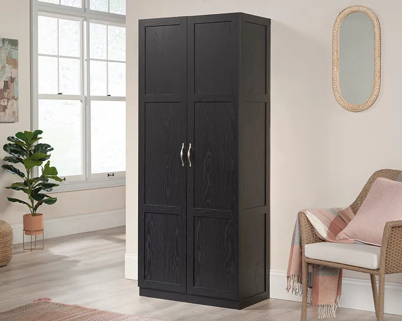 2-Door Storage Cabinet with Shelves in Black